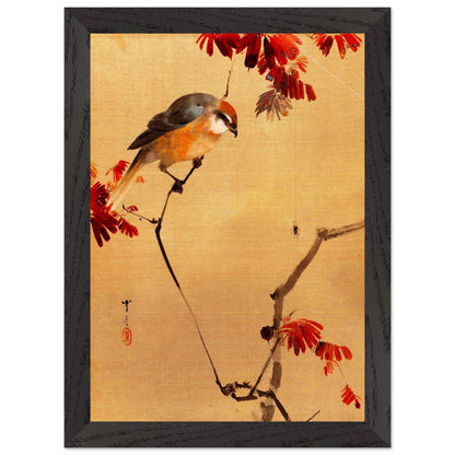 Restaurierter japanischer Kunstdruck,  japanischer Vogel auf Ast mit roten Blättern, traditionelle japansiche Kunst, Holzrahmen schwarz